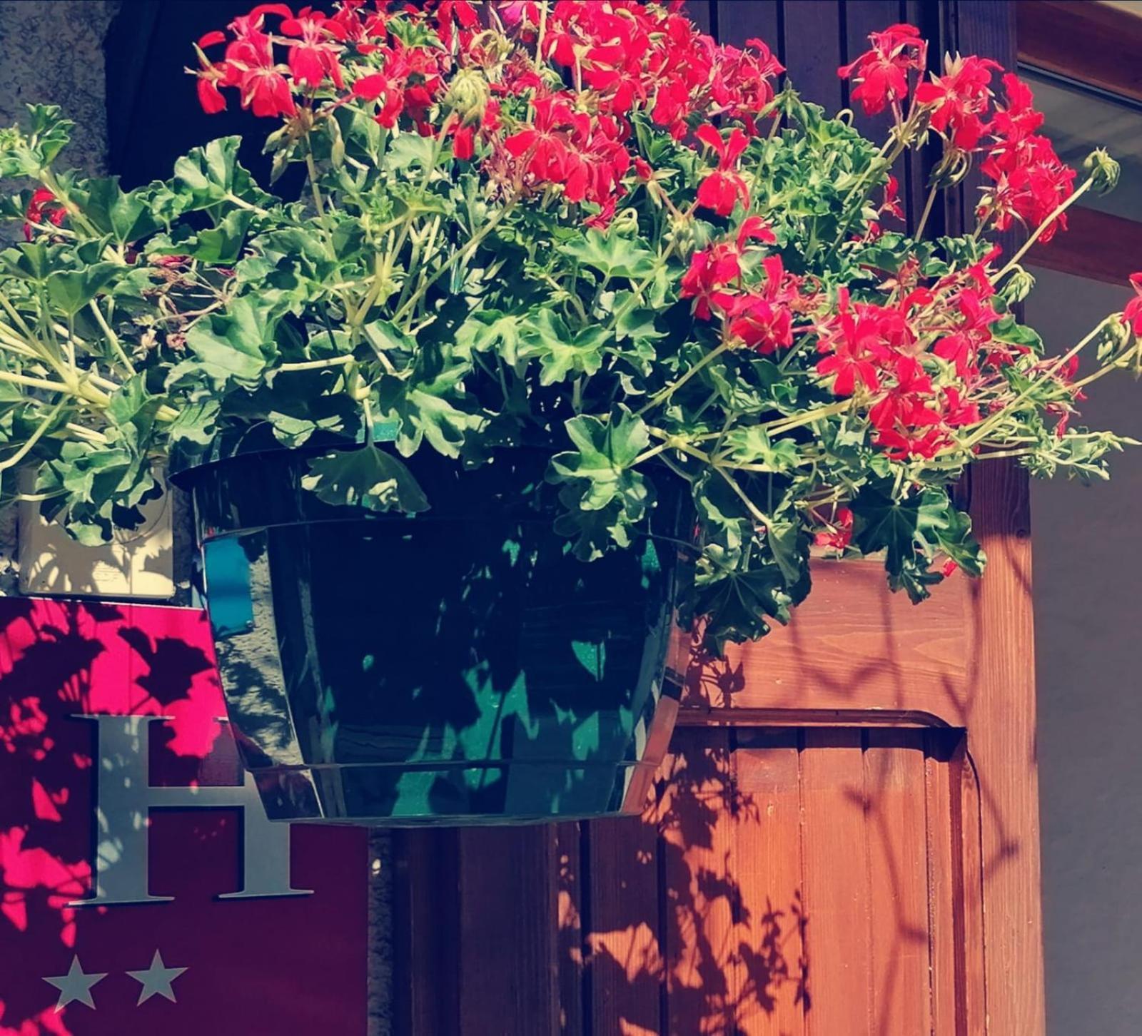 Hotel Le Lievre Blanc فارْ المظهر الخارجي الصورة